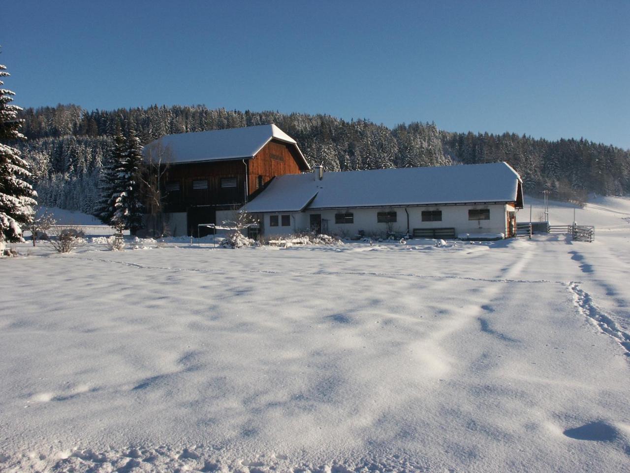 Bio Bauernhof Schoberhof Vila Sankt Andrä im Lungau Exterior foto