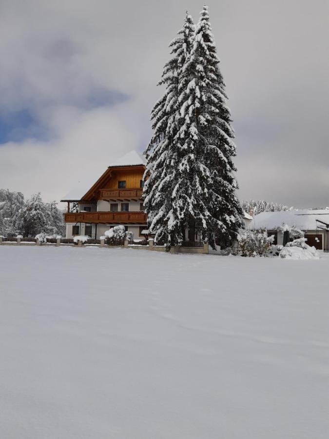 Bio Bauernhof Schoberhof Vila Sankt Andrä im Lungau Exterior foto